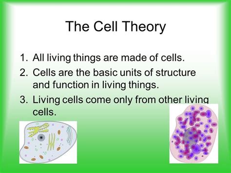About a real tough topic called the animal cell has many parts, and you must know each one by heart. Parts of a Cell. - ppt video online download | Cell theory ...