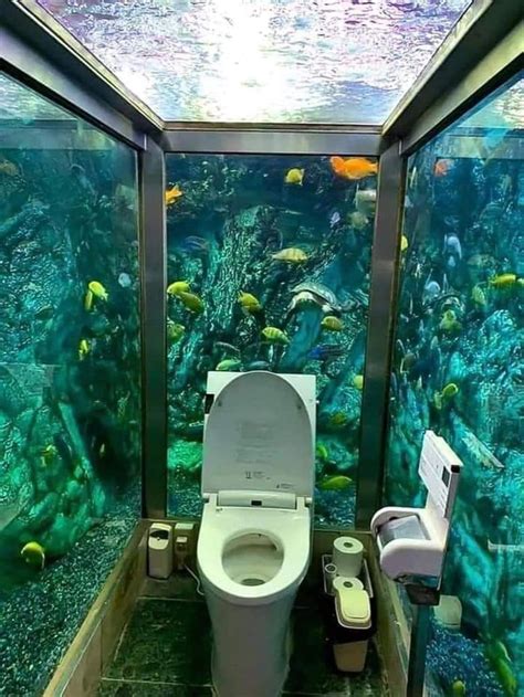 Aquarium Toilet At The Hipopo Papa Cafe In Akashi Japan R Damnthatsinteresting