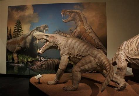 Permian Monsterss Last Day Florida Museum