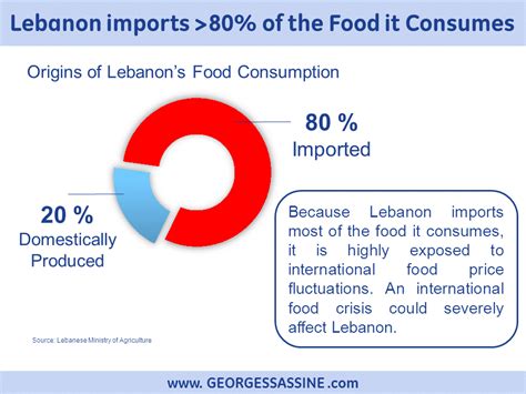 It includes an abundance of whole grains, fruits, vegetables, fresh fish and seafood. How to Reduce Food Prices in Lebanon - Georges Sassine