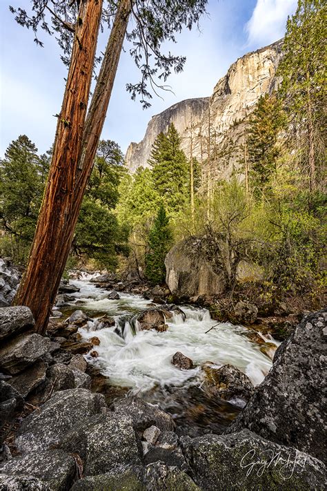 Half Dome And Tenaya Creek Yosemite Eloquent Images By Gary Hart