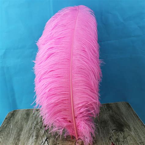 Big Pole Ostrich Feather Pink Feathers 10 Pcs 60 65 Cm24 26 Inches