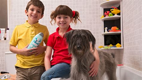 bbc iplayer topsy and tim series 2 18 washing mossy audio described