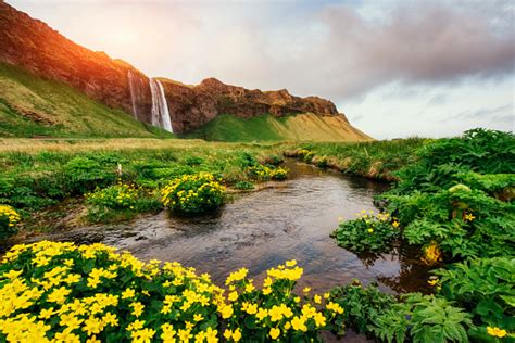 Seljalandfoss Waterfall Beautiful Summer Sunny Day Iceland Stock Photo