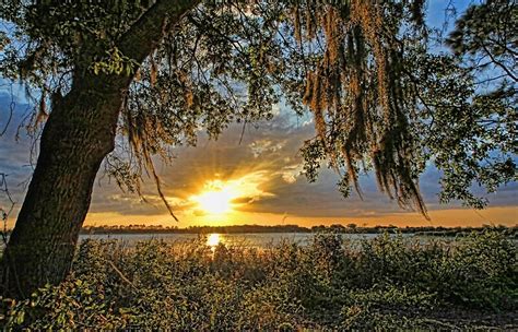 Southern Nights By Hhphotographyfl Redbubble