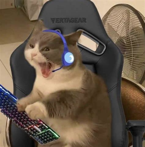 A Cat With Headphones Sitting On Top Of A Computer Chair Holding A