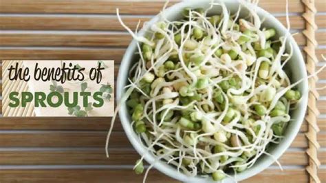 Reasons Eating Sprouts Should Be A Part Of Your Daily Diet Benefits