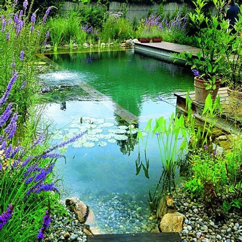 Amazing Backyard Swimming Ponds Ideas 16 Natural Swimming Ponds