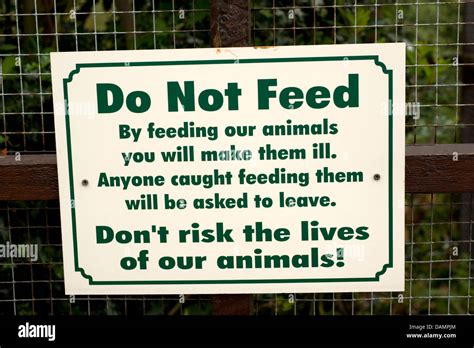 Zoo Sign Do Not Feed The Animals Warning Stock Photo Alamy