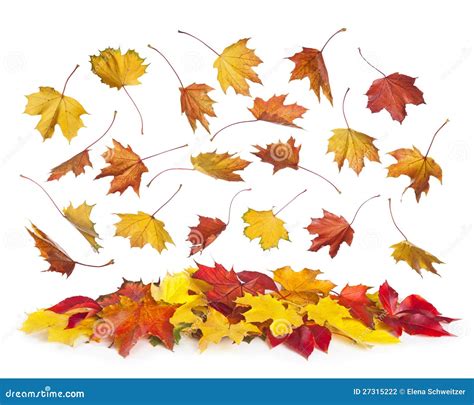 Fallende Blätter Des Herbstes Stockfoto Bild Von Mischung Bunt 27315222