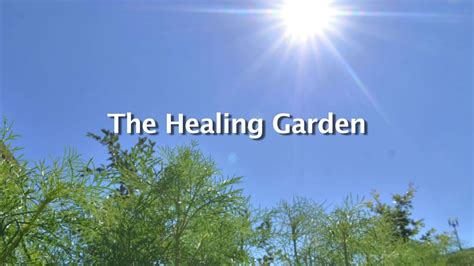 The Healing Garden Youtube