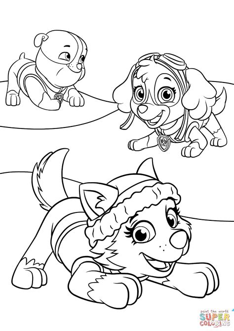 Paw Patrol Coloring Pages Sky At Free Printable