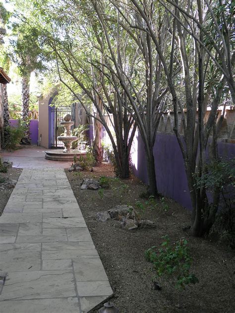 Landscaping Awards Won By Sonoran Gardens Inc Of Tucson Arizona A