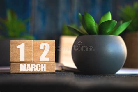 March 12th Day 12 Of Month Cube Calendar With Date And Pot With
