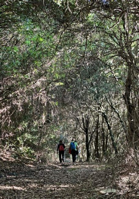 16 Hikes In Sardinia Perfect For Nature Lovers