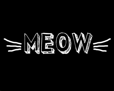 Meow Wallpapers Top Free Meow Backgrounds Wallpaperaccess