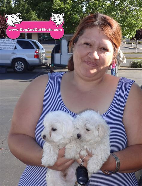 We believe in helping you find the product that is right for you. Low Cost Dog and Cat Shots in Northern California These ...