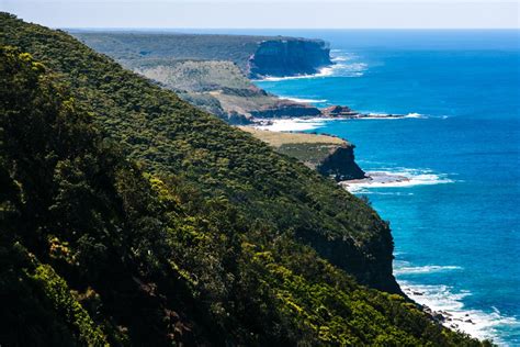 A Guide To Hiking The Royal National Park Coastal Walk Frugal Frolicker