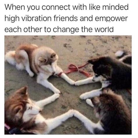 27 Memes About Teamwork That You Cant Lift On Your Own Funny Gallery
