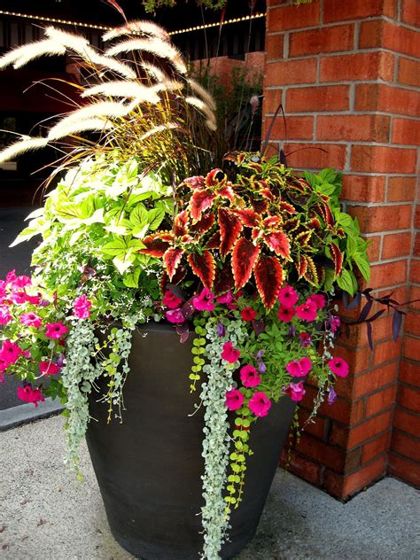 2 Gorgeous Outdoor Planter Container Gardening Porch Flowers
