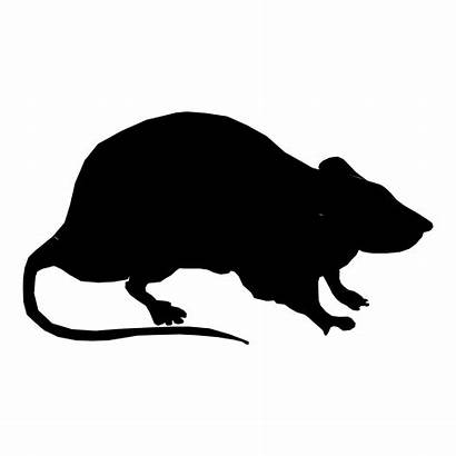 Silhouette Rodent Rat Library Clipart Transparent