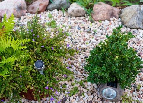 15 Gorgeous Rock Garden Ideas For Your Landscape Bob Vila