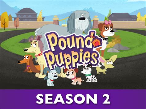 Prime Video Pound Puppies Season