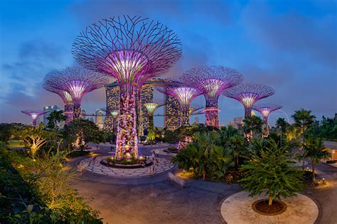 Desktop Hintergrundbilder Singapur Gardens By The Bay Natur Garten