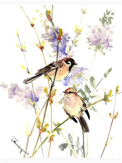 Sparrows And Spring Blossom Canvas Print By Surenart Bird Watercolor