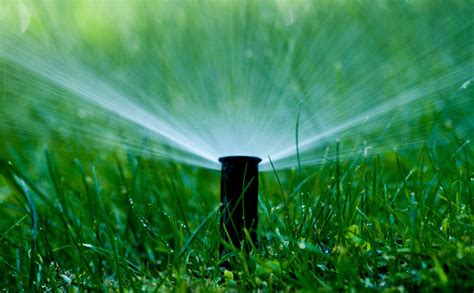 5 Ways To Know If Youre Overwatering Your Lawn