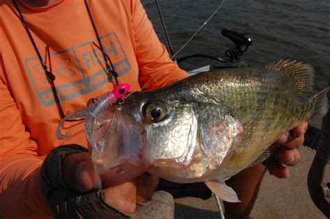 Six Top Baits For Spring Crappie Fishing