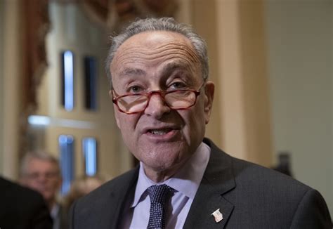 He released his book, positively american: Sen. Chuck Schumer Becomes First-Time Grandfather to a ...
