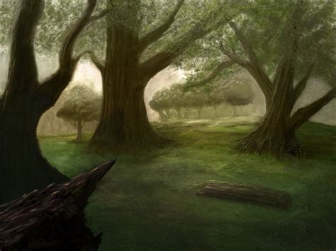 Enchanted Forest By Narandel On Deviantart