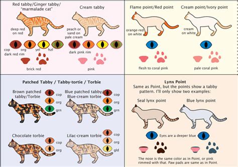 Tabby coat colors distinct color patterns with one color predominating. Less Bitching, More Stitching - A cross stitch blog ...
