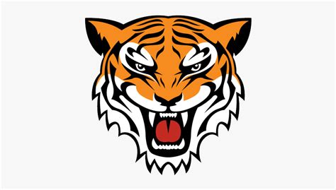Add a nose in the center. Simple Tiger Face Drawing , Free Transparent Clipart ...