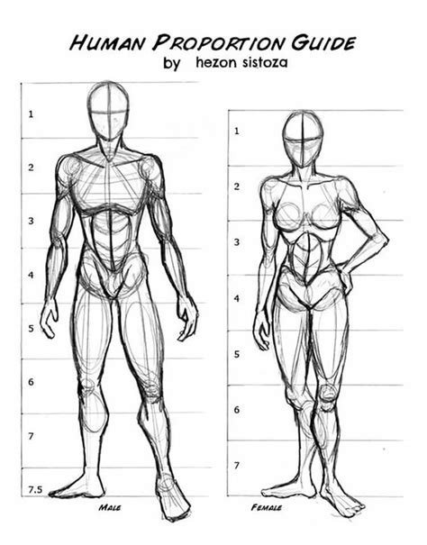 18 Human Anatomy Drawing Ideas And Pose References Beautiful Dawn Designs Human Anatomy