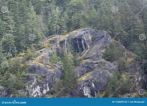Rocky Cliff With Pine Forest Stock Photo Image Of Hill Ontario