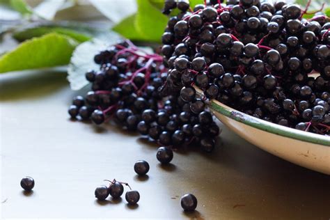 What Is Elderberry And How Do I Cook With It Taste Of Home