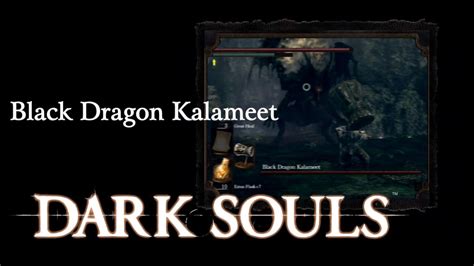 How to start kalameet fight. Dark Souls - Black Dragon Kalameet - YouTube