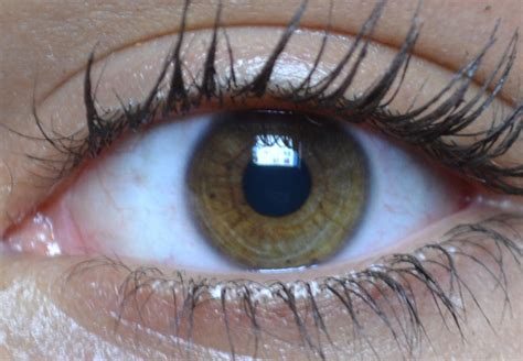 Extreme Eye Closeup By Joanx5 On Deviantart