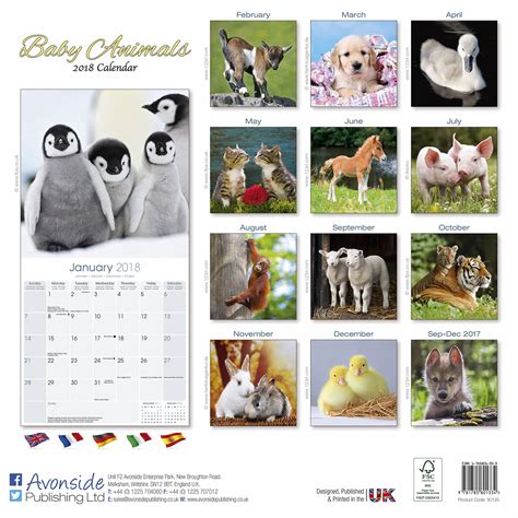 Baby Animals Calendar 2018 Pet Prints Inc
