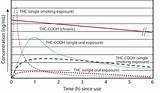 Images of Marijuana Urine Detection Time