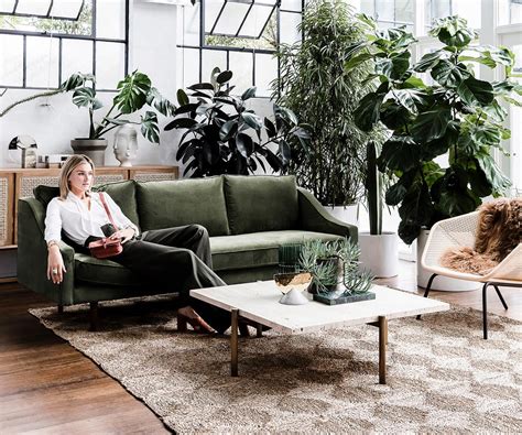 We deliver indoor plants to melbourne, vic, nsw, qld, and act. Why indoor trees are the house plant trend to embrace in 2019