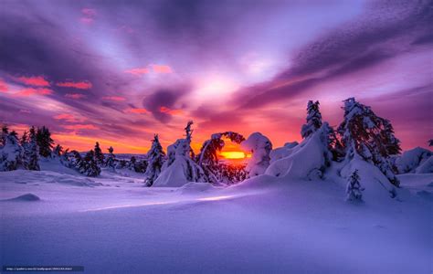 Descarca Imagini De Fundal Peisaj Natură Iarnă Zăpadă Purple