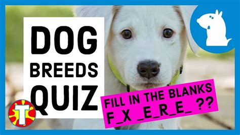 Quiz Dog Breeds Quiz Can You Get All 10 Correct Youtube
