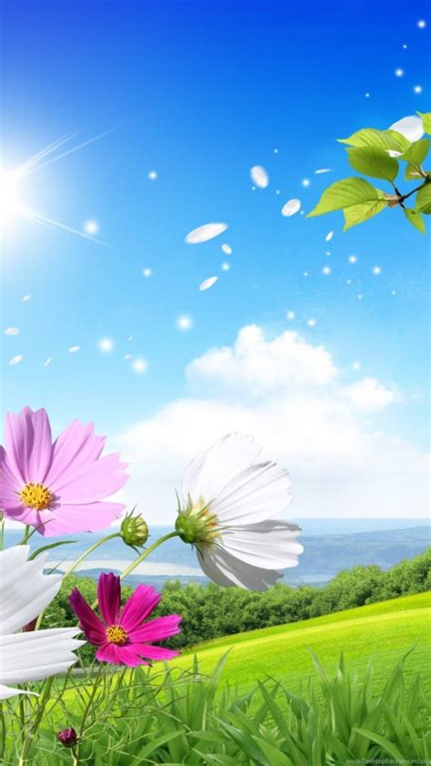 Spring Wallpapers For Iphone 6 702689 Hd Wallpaper And Backgrounds