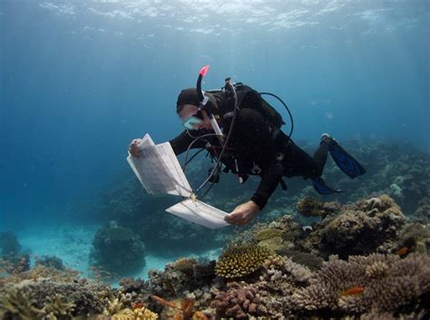 Earth Day Opinion Helping Coral Ecosystems Survive A Changing Climate