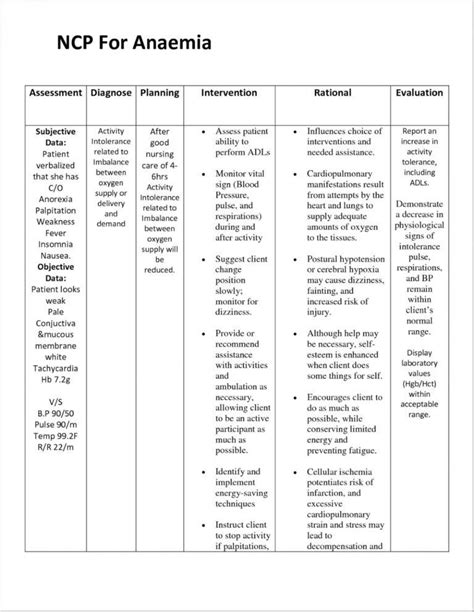 Nursing Care Plan Template Blank