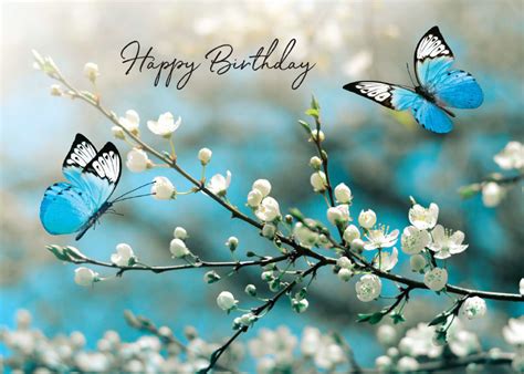 Butterfly Birthday Arbor Day Foundation