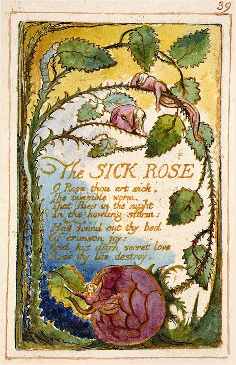 The Sick Rose Wikipedia